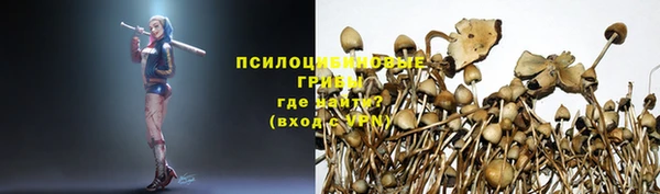 a pvp Вязьма