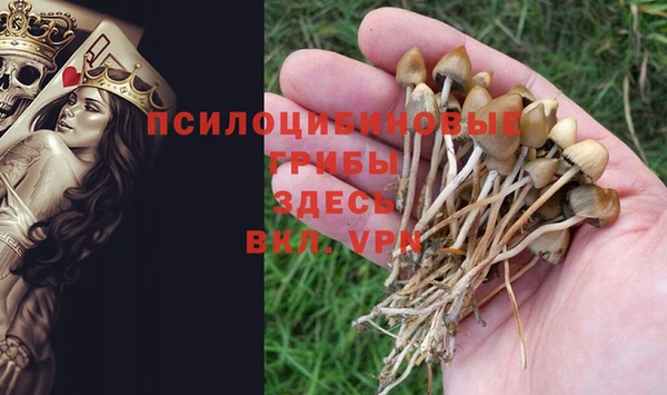марихуана Вяземский