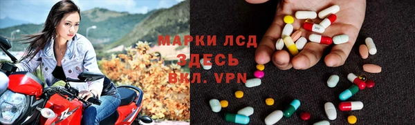 прущие грибы Аксай