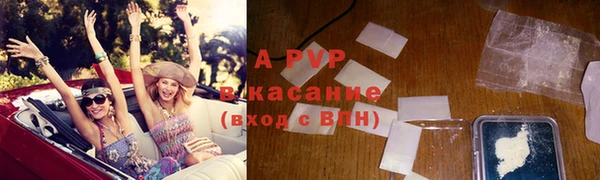 прущие грибы Аксай