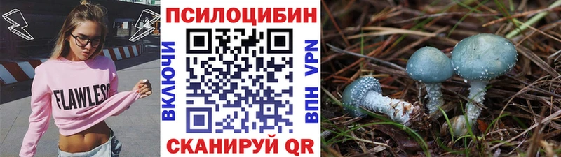 Галлюциногенные грибы Psilocybe  как найти закладки  Горнозаводск 