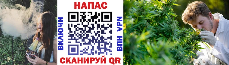 Шишки марихуана ГИДРОПОН  Горнозаводск 